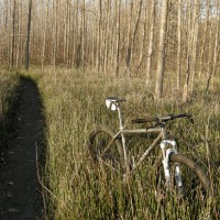 Got the bike out and flogged it for a bit today. The trails have finally dried out!!! Feel free to post in the Owner’s Gallery. I’m loving it, it’s got a snappy ride!