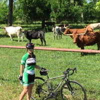 Out in the Houston area with the longhorns.