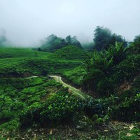 I wanted to share a few photos with you from a trip to the Cameron Highlands in Malaysia this past weekend. On Friday we rode Stage 4 of the Tour of Langkawi and watched the pros finish the same route on Saturday. Saturday we did some crazy steep climbs around tea plantations and on some […]