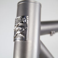 Titanium Road Commuter for Rohloff